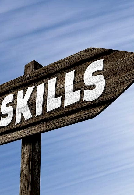 Індивідуальне навчання